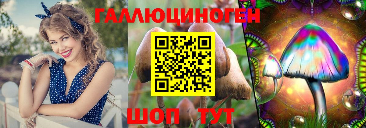 Галлюциногенные грибы Magic Shrooms  Кудымкар  Псилоцибиновые грибы GOLDEN TEACHER 